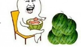 吃遍娱乐圈所有的瓜