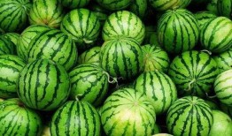 吃瓜新鲜爆料视频,最新爆料事件深度解析