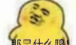 吃瓜表情的意思,揭秘网络时代的社交密码