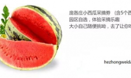 娱乐吃瓜封面怎么做,揭秘明星幕后故事，带你走进娱乐圈风云变幻