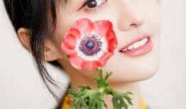 娱乐吃瓜酱花西子,娱乐吃瓜酱中的璀璨明珠