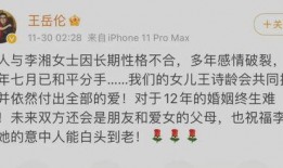 从年头到年尾娱乐圈吃瓜总结,从年初到年尾的精彩瞬间