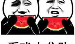 吃瓜表情的意思,揭秘网络时代的社交密码