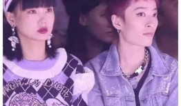 在娱乐圈吃瓜后我爆红了,意外爆红成为焦点