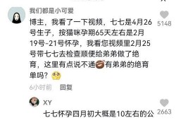 抖音娱乐吃瓜博主是谁啊,揭秘幕后故事