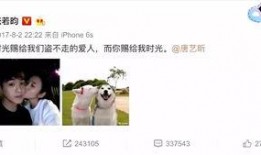 娱乐吃瓜君郑爽,娱乐圈的“吃瓜”焦点