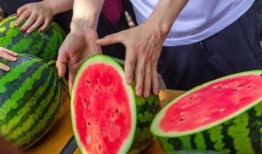 天津大学吃瓜爆料,吃瓜爆料揭示不为人知的故事