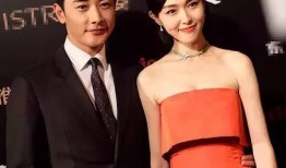 娱乐吃瓜酱罗晋,娱乐圈的“吃瓜酱”，揭秘明星幕后故事