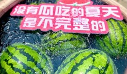 大型吃瓜现场图,揭秘娱乐圈幕后风云