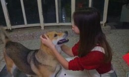 娱乐吃瓜酱狗子,揭秘娱乐圈那些不为人知的幕后故事